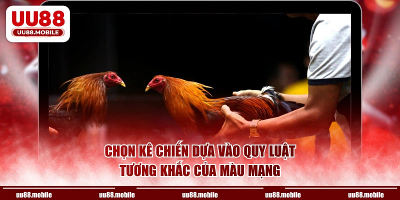 Chọn kê chiến dựa vào quy luật tương khắc của màu mạng