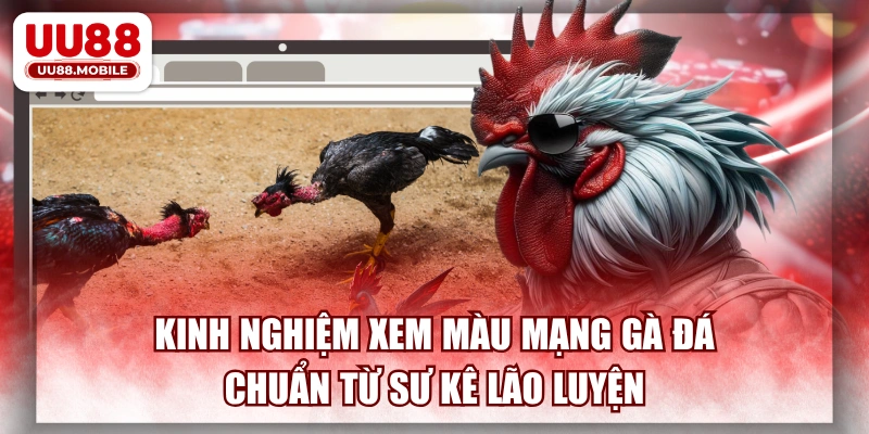 Kinh Nghiệm Xem Màu Mạng Gà Đá Chuẩn Từ Sư Kê Lão Luyện